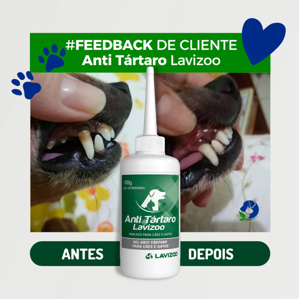 Gel Anti Tártaro Lavizoo com Dedeira