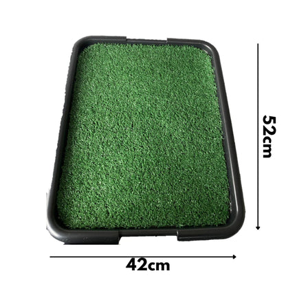 Tapete Sanitário lavável com grama sintética para cães