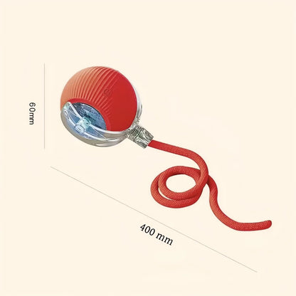 Bola Interativa Inteligente