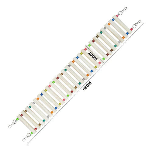 Ponte escada para pássaros