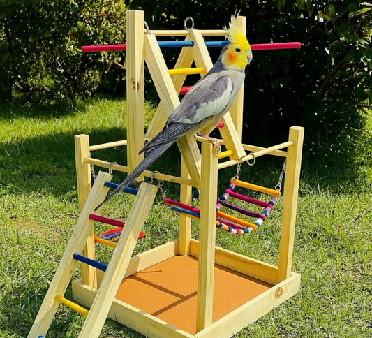 Playground de Pássaros