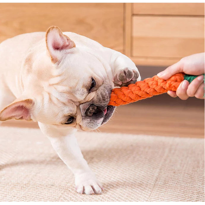 kit 6 brinquedo cordas