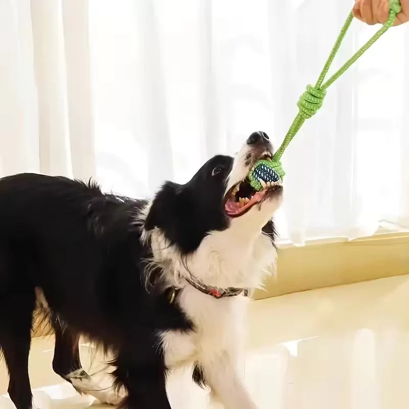 kit 6 brinquedo cordas